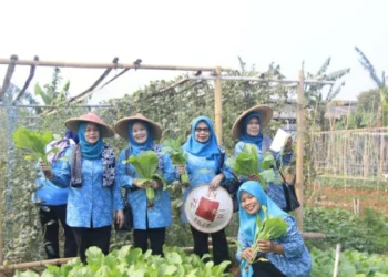 Keren, Jatiuwung Kota Tangerang Juara 1Lomba Pemanfaatan Lahan Pekarangan Tingkat Provinsi