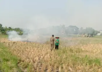 Trantib Kecamatan Benda Sambangi Masyarakat Belendung yang Bakar Jerami