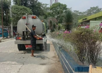 DLH Lebak Kewalahan Siram Tanaman Saat Musim Kemarau