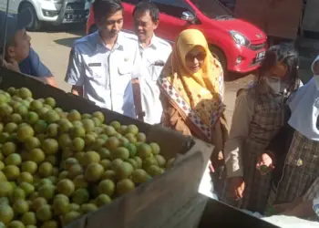 Dapat Dana Pembinaan dari Pemkot Tangerang, SDN Tangerang 3 Beli Bahan Abate Alami