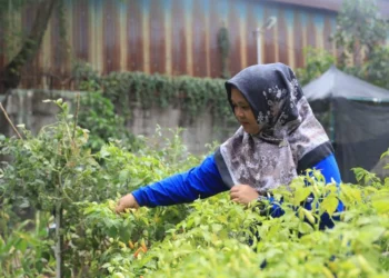 Persita Raup Tiga Poin dari Laga Kontra Persis Solo