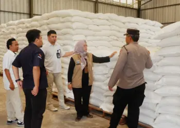 Asda II Setda Kabupaten Pandeglang, Nuriah, tinjau stok dan kualitas pangan di gudang Bulog Montor, Rabu (11/10/2023). (FAHRIE/SATELITNEWS.COM)