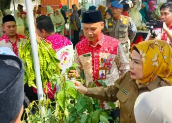 Bupati Serang Ratu Tatu Chasanah, meninjau pasar tani yang diadakan oleh DKPP Kabupaten Serang, di halaman pendopo, Senin (16/10/2023). (SIDIK/SATELITNEWS.COM)