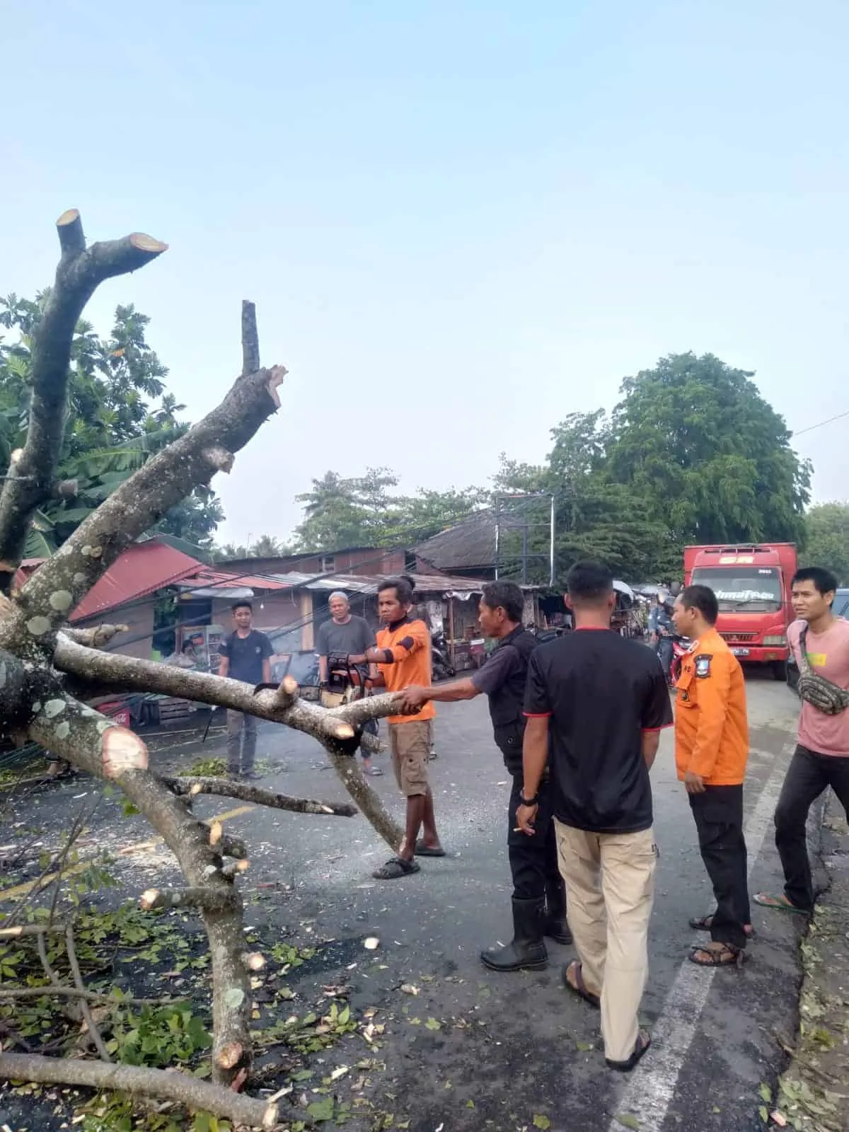 Sejumlah petugas BPBD Kabupaten Serang, mengevakuasi pohon tumbang, Kamis (26/10/2023). (ISTIMEWA)