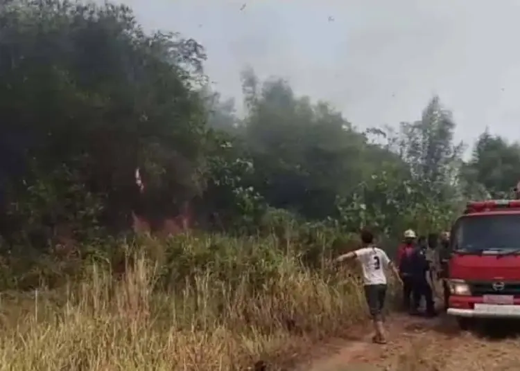 Lahan Kosong Di Lengkong Gudang Timur, Bikin Warga Panik