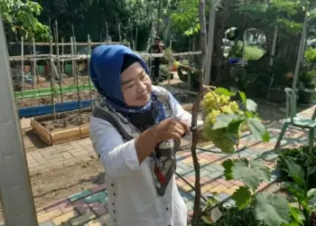 KWT Anthurium Ajak Masyarakat Menanam Secara Mandiri