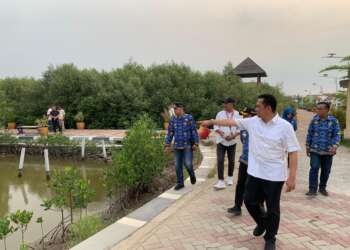 Ketapang Urban Aquaculture di Desa Ketapang, Kecamatan Mauk. (ISTIMEWA)