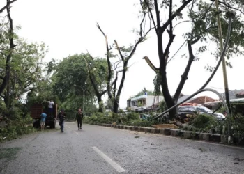 Disbudpar Kota Tangerang Persilakan Masyarakat Ajukan Pemangkasan Pohon