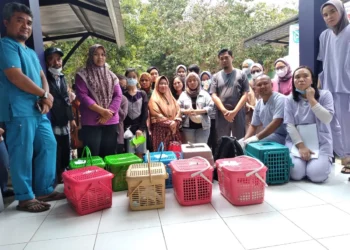 Puskeswan Tangsel Gelar Sterilisasi Kucing Massal