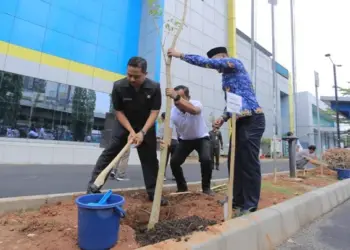 Aksi Tanam Pohon Bersama PLN, Wali kota Arief : Jaga Selalu Lingkungan dan Hemat Listrik