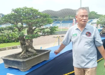 Bukan Buat Kaum Mendang-Mending, Bonsai Ini Dibanderol Rp 400 Juta