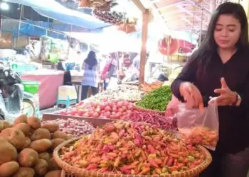 Harga Cabai Rawit Setan di Pasar Rangkasbitung Tembus Rp 100 Ribu/Kg