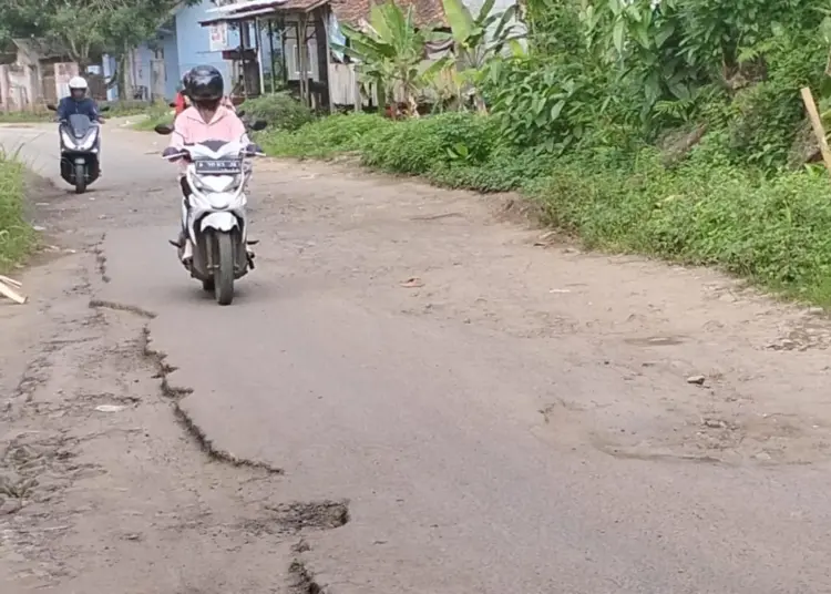 Ruas jalan Paniis, Kecamatan Koroncong, Kabupaten Pandeglang, masih rusak, Kamis (7/12/2023). (FAHRIE/SATELITNEWS.COM)