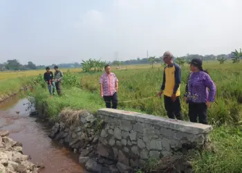 UPTD SDA Wilayah VII melakukan perbaikan turap di SP Gubuk Kecamatan Sindang Jaya.