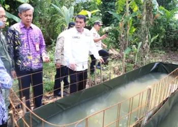 Sekretaris Daerah Kabupaten Tangerang Moch. Maesyal Rasyid dan Kepala DPMPD Kabupaten Tangerang Yayat Rohiman sedang melihat budidaya ikan di Desa Cikasungka, Kecamatan Solear. (ISTIMEWA)