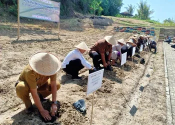 Cegah Stunting, Pimpinan APH di Lebak Ramai-ramai Tanam Kelor