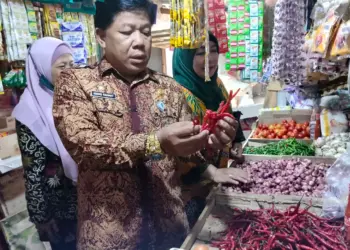 Kepala Diskoumperindag Kabupaten Serang, Adang Rahmat, tengah melakukan sidak kebutuhan pokok di pasar. (ISTIMEWA)