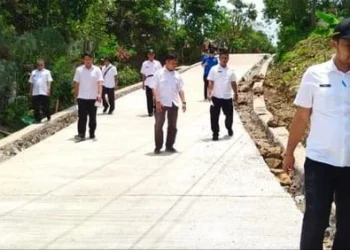 Pegawai Dinas PUPR Kabupaten Pandeglang, meninjau jalan yang sudah selesai dibangun. (ISTIMEWA)