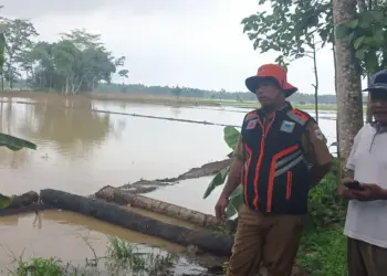 Air disekitar Tanggul Cilatak, Kecamatan Panimbang, Kabupaten Pandeglang, mulai menggenangi areal persawahan dan jalan. (ISTIMEWA)