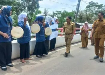 Pj Gubernur Banten Al Muktabar, tinjau jembatan Nyapah, Selasa (30/1/2024). (LUTHFI/SATELITNEWS.COM)