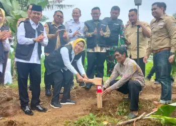 Bupati Serang Ratu Tatu Chasanah, melakukan pemasangan patok batas tanah bersama dengan BPN di Kecamatan Gunungsari, Rabu (31/1/2024). (SIDIK/SATELITNEWS.COM)