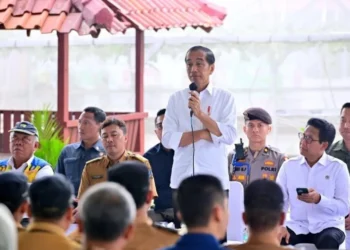 Ganjar & Puan Soal Wacana Pemakzulan, Jokowi Langgar Apa?