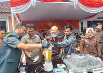 Pegawai Kejari Pandeglang beserta para pihak terkait lainnya, memusnahkan barang bukti kejahatan yang sudah mendapatkan kekuatan hukum tetap, di halaman Kantor Kejari setempat, Selasa (27/2/2024). (ADIB FAHRIE/SATELITNEWS.COM)