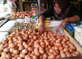 Seorang pedagang telur di Pasar Badak Pandeglang, sedang menunggu pembeli. (DOKUMEN/SATELITNEWS.COM)