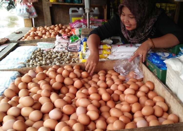 Seorang pedagang telur di Pasar Badak Pandeglang, sedang menunggu pembeli. (DOKUMEN/SATELITNEWS.COM)