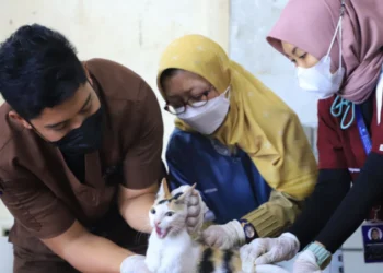 DKP Kota Tangerang Gelar Vaksinasi Hewan Gratis di 13 Kecamatan