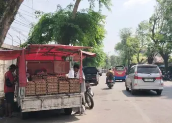 Harga Telur di Lebak Tembus Rp 31 Ribu/ Kilogram