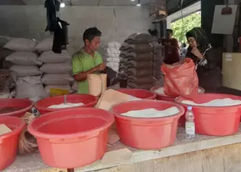 Harga Beras di Kota Tangerang Tembus Rp15 Ribu/Liter