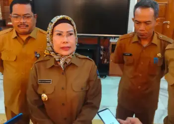 Bupati Serang Ratu Tatu Chasanah, sampaikan keterangan kepada wartawan, Kamis (7/3/2024). (SIDIK/SATELITNEWS.COM)