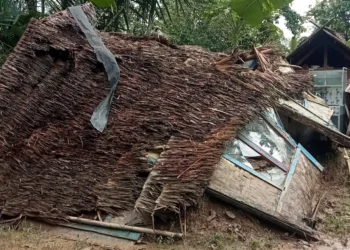 Rumah janda tua dii Kampung Tajur, Desa Idaman, Kecamatan Patia, Kabupaten Pandeglang, roboh. (ISTIMEWA)