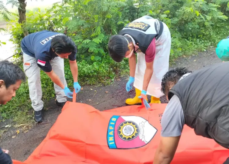 Warga di Desa Bendung, Kecamatan Tanara, Kabupaten Serang digegerkan dengan penemuan mayat tanpa identitas bersimbah darah dipinggir jalan, Senin (25/3/2024). Jasad korban dievakuasi ke RS Bhayangkara di Kota Serang, untuk pemeriksaan medis. (ISTIMEWA)