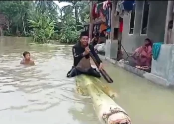 Kepala Desa (Kades) Idaman , Kecamatan Patia, Kabupaten Pandeglang, Ilman, memantau jalur banjir menggunakan batang pisang, Minggu (17/3/2024). (ISTIMEWA)