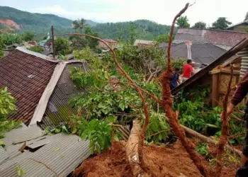 14 Rumah di Lebak Digerus Longsor, 8 Rusak Berat