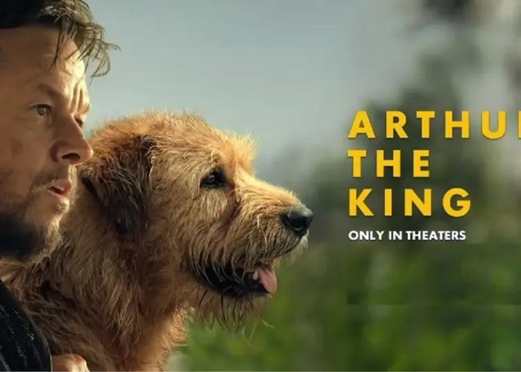 Arthur the King, Duet Kapten Tim Balapan Dengan Anjing Liar