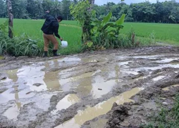 Bak Kubangan, Akses Jalan Menuju SMPN 4 Satap Wanasalam Lebak Berlumpur