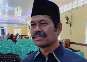 Politisi Partai NasDem, Furtasan Ali Yusuf. (LUTHFI/SATELITNEWS.COM)