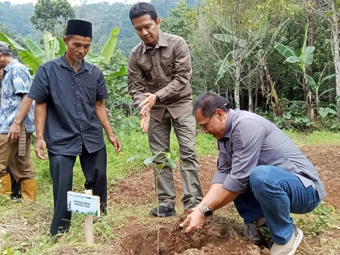 Pihak PLTU Banten 2 Labuan dan BIM, sedang menanam pohon kopi di lereng Gunung Karang, Selasa (30/4/2024). (ISTIMEWA)