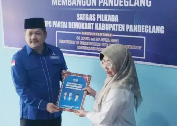 Raden Dewi Setiani, serahkan berkas penjaringan Balonbup ke DPC Partai Demokrat, Sabtu (27/4/2024). (ADIB FAHRIE/SATELITNEWS.COM)