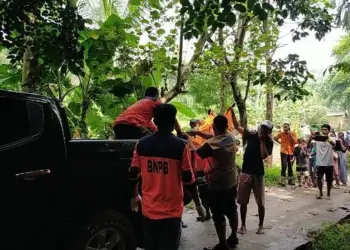 EVAKUASI JASAD: Petugas BPBD saat mengevakuasi jasad pria yang ditemukan di area persawahan. MULYANA/SATELIT NEWS.COM