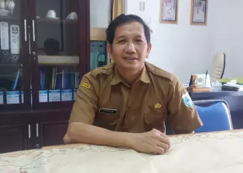 Plt Kepala DPMPD Kabupaten Pandeglang, Doni Hermawan. (ADIB FAHRIE/SATELITNEWS.COM)