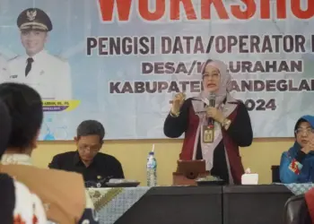 Plt Kepala Dinsos Kabupaten Pandeglang, Nuriah, memberikan arahan. (ISTIMEWA)