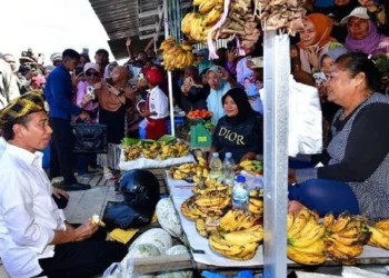 Jokowi Dilematis soal Beras, Bansos Berlanjut Sampai Juni