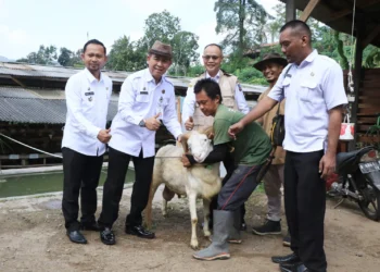 DKPP Kabupaten Serang dan Sekda Kabupaten Serang, Nanang Supriatna, memberikan pelatihan terhadap Juleha, menjelang hari raya idul adha. (SIDIK/SATELITNEWS.COM)