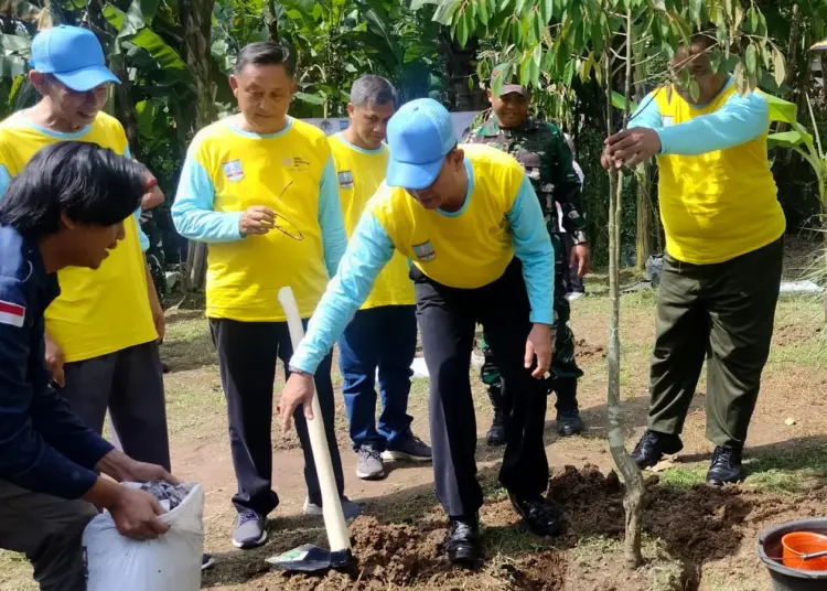 DLH Kabupaten Serang, lakukan penanaman pohon produktif di Kecamatan Cikeusal. (ISTIMEWA)