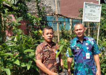 Pemerintah Kecamatan Larangan Gencarkan Pembibitan Toga, Sayur-sayuran dan Buah-buahan