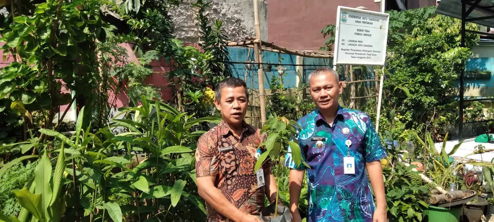 Pemerintah Kecamatan Larangan Gencarkan Pembibitan Toga, Sayur-sayuran dan Buah-buahan